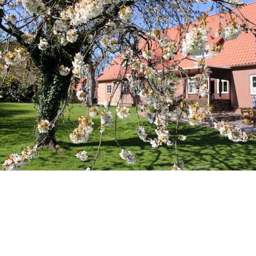 Haus Wöhling - [#20537]