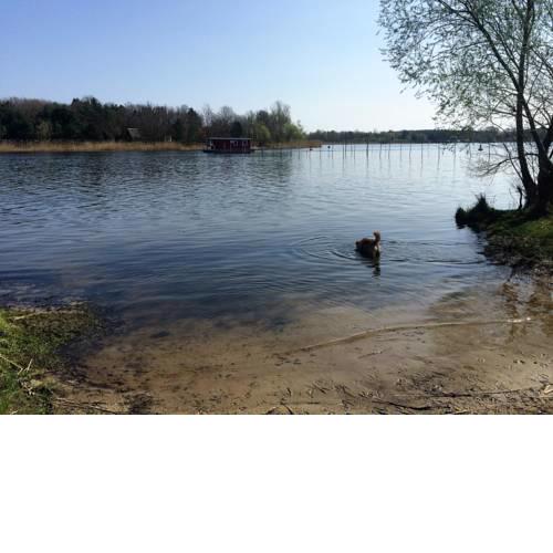 Häuschen am Waldrand,nähe Havel