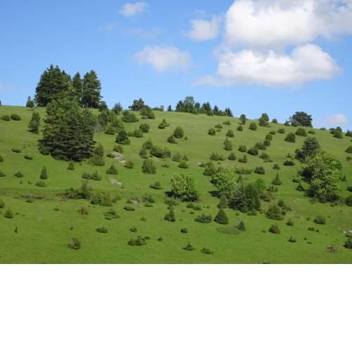 Heid-Blick