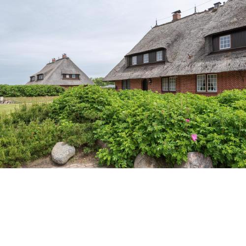 Heide Idyll