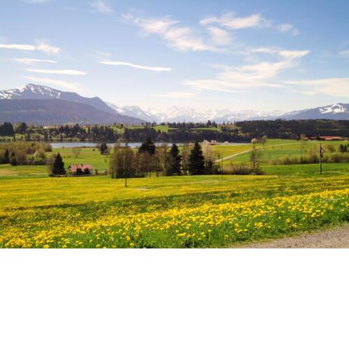 Heimatliebe
