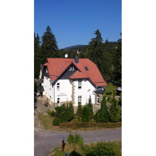 Heine Apartment