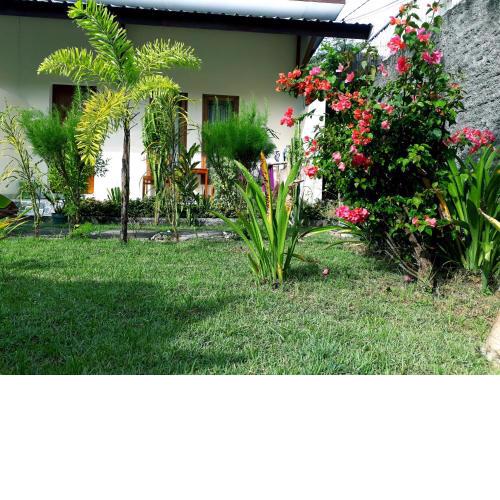 Herry Homestay Kuta Lombok