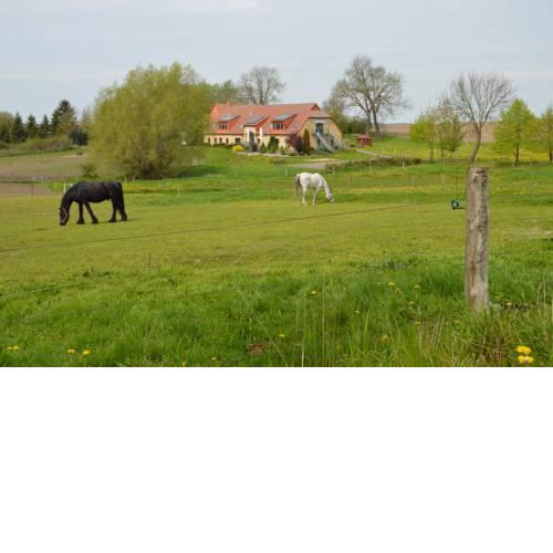 Heu-Ferienhof Altkamp