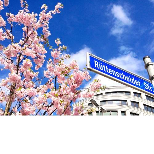 High Class Apartments Ruhr46