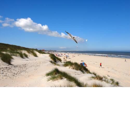 Hinrichs' OASE Baltrum – FeWo Borkum