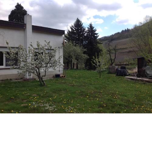 Hinter der Mühle