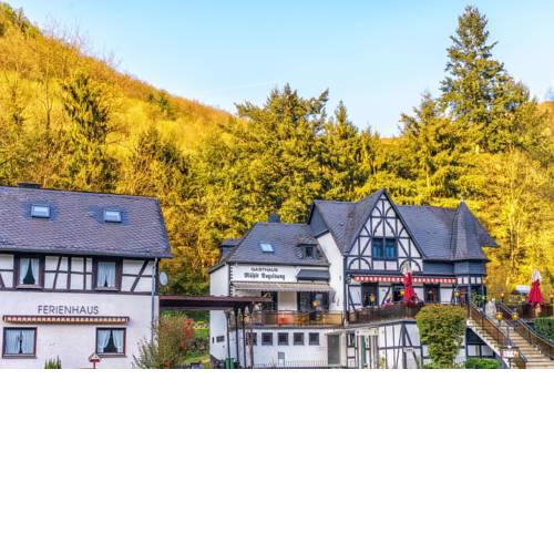 Historische Mühle Vogelsang