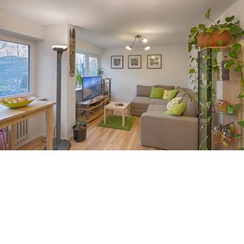 Hochschwarzwald Ferienwohnung