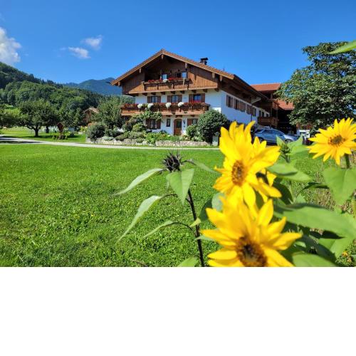 Hoderhof
