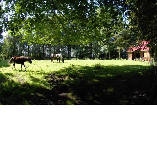 Hof Olde Warft