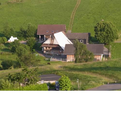 Höflebauer