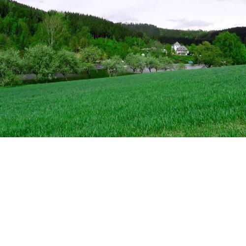 Hohenwarter Seehof Collection