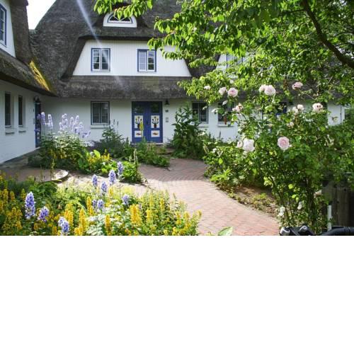 Holiday flat in der Ferienanlage Achtern Diek Zingst - DOS06041-P