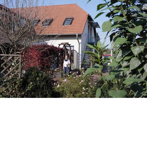 Holiday flats Luckaitztal-Gosda - DBS05090-CYB