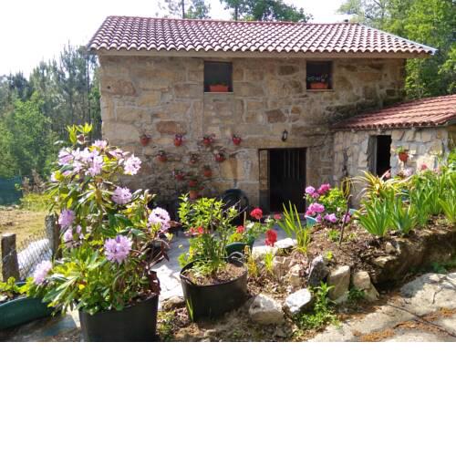 Holiday home Camino do Arieiro