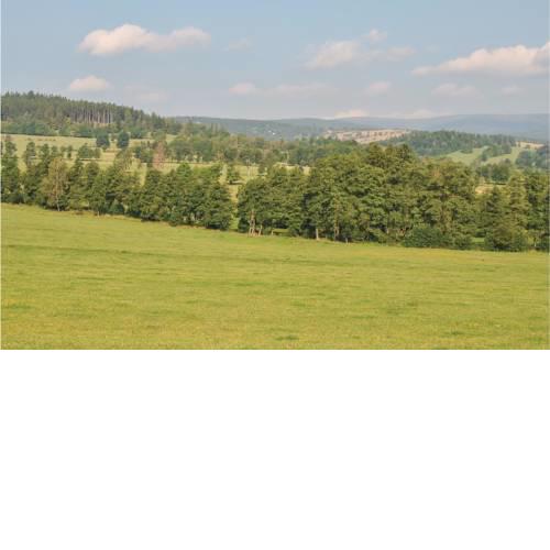 Holiday home Dolni Moravice