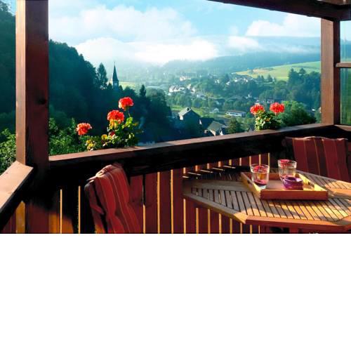Holiday Home Hatzfeld - DMG01020-F