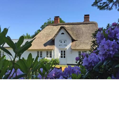 Holiday Home Humptrup - DNS09036-F