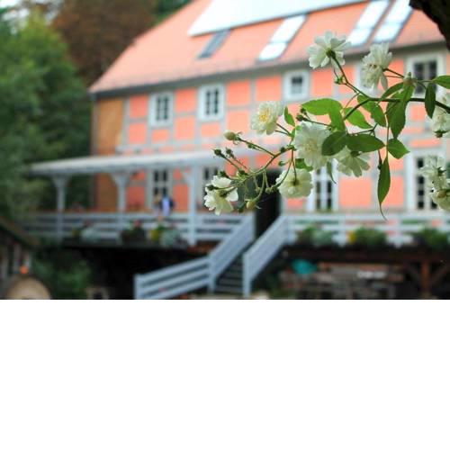 Holiday home in Nordwestuckermark 34328