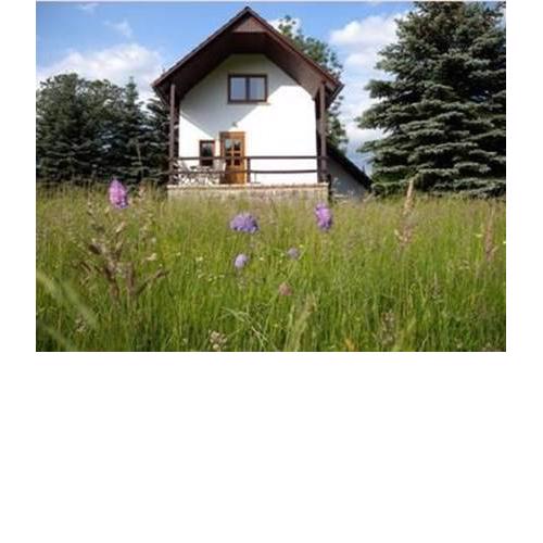 Holiday home in Sankt Kilian 3196
