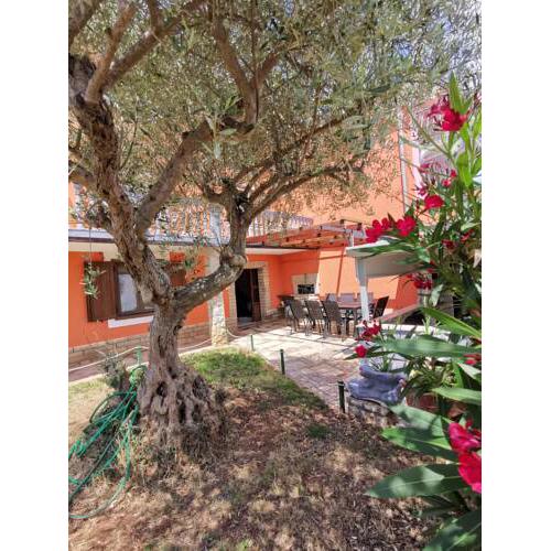Holiday home Ivona