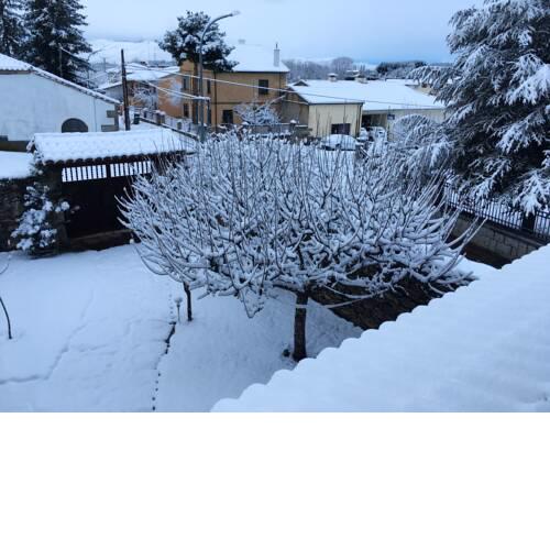 Holiday home Las Nieves