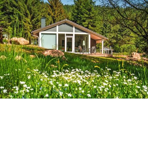 Holiday Home Lichtung Ruhla - DMG07047-FYD