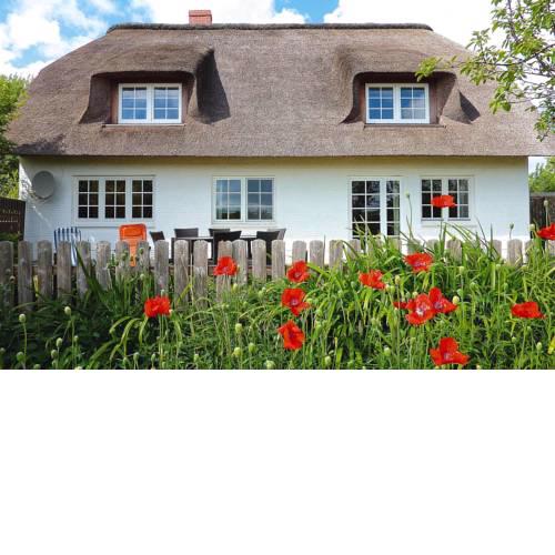Holiday Home Pellworm - DNS10058-SYB