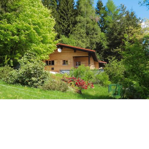 Holiday Home Rinchnach - DMG04022-F