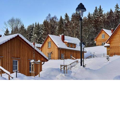 Holiday homes in the Schierke Harzresort, Schierke