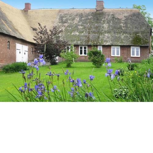 Holiday homes Wellness unter Reet Dagebüll - DNS09030-LYA