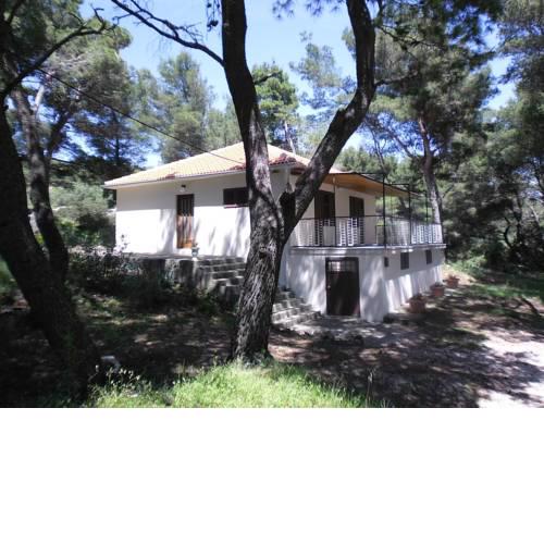 Holiday house with a parking space Sumartin, Brac - 12047