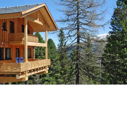 Holiday resort Alpenpark Turracher Höhe Turracher Höhe - OSM02004-FYC