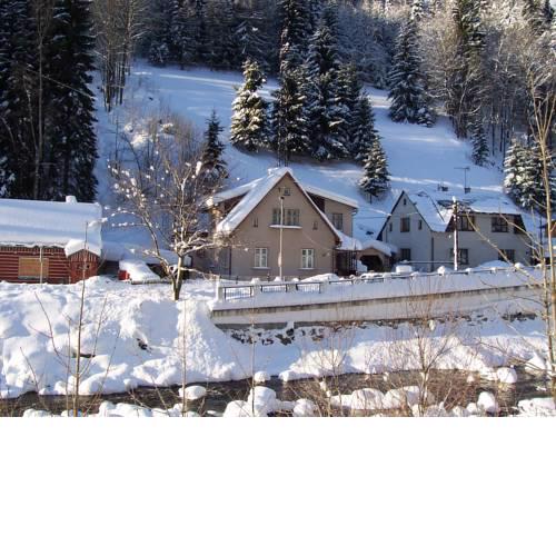 Holiday Villa Herlikovice