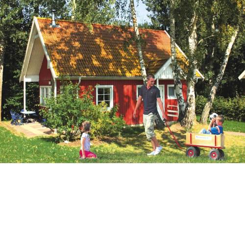 Holiday village Müritzparadies Am Müritzufer Rechlin - DMS02138-FYC