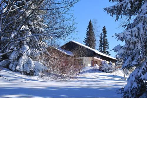 Holiday village Reichenbach Nesselwang-Reichenbach - DAL01520-FYB