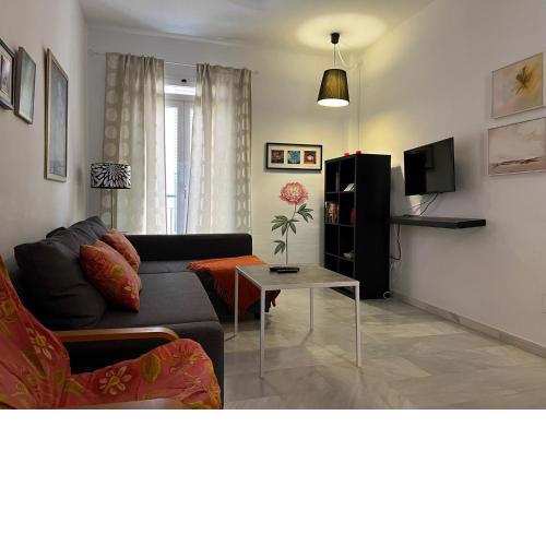 Home Boutique Carreteria