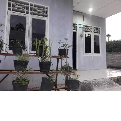 Home Sweet Dewi