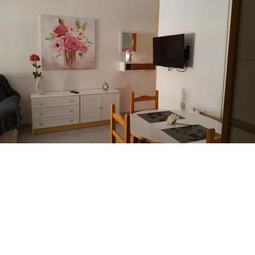 Homely appartment playa Acequion