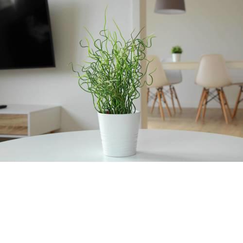 Homely Spacious Appartment near OUTLETS & Train