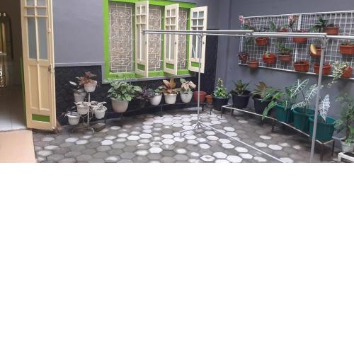 Homestay Al Kautsar