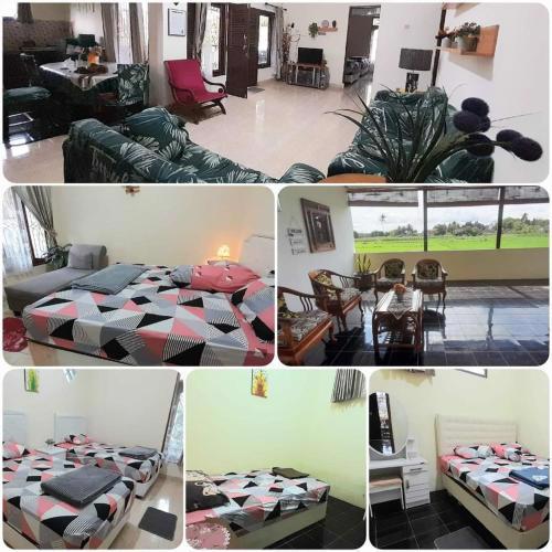 Homestay Dersono