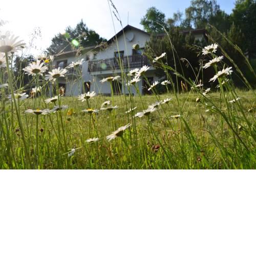 Homestay Krásný