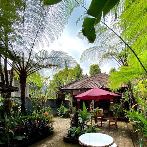 Homestay Sente