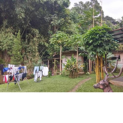 Homestay Triniti