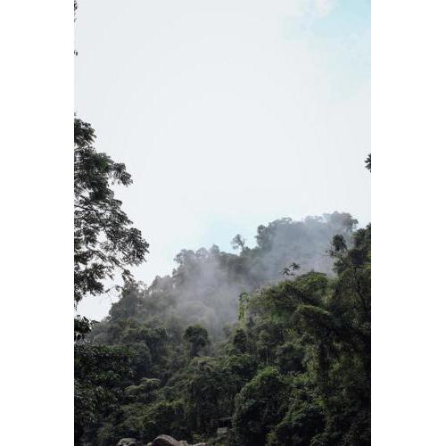 Homestay