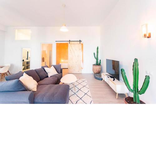 Homey Apartment