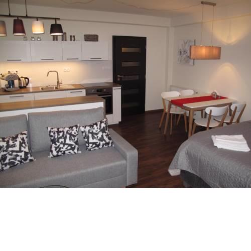 Horní Mísečky apartmán C1