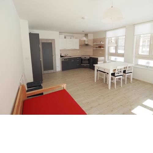 Horní Mísečky apartmán I3